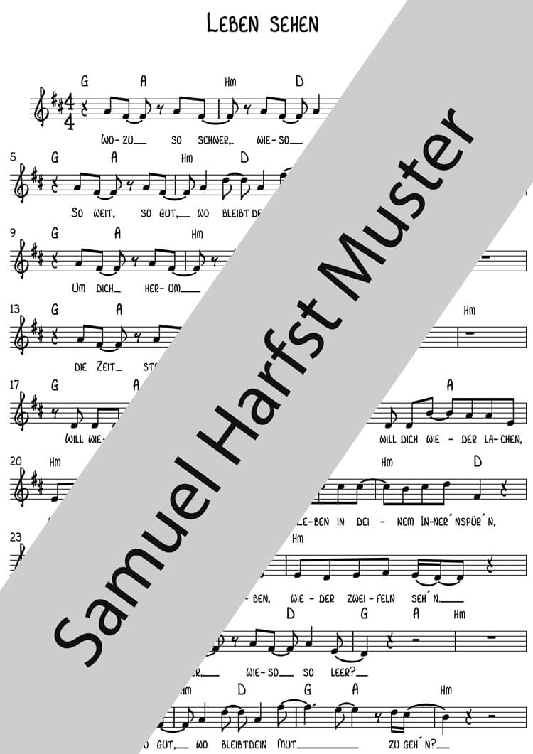 NOTEN | Leben sehen